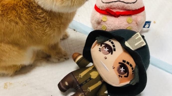 バッハ・コレギウム・ジャパンでJ.S.バッハ「2台&3台のチェンバロのための協奏曲」、カンタータ第30番「喜べ、贖われた者たちの群れよ」他を聴く ~ 第147回定期演奏会