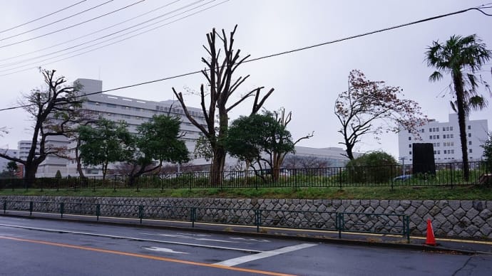 病院への定期健診で驚いたこと2点。（国立東京医療センターの木が伐採され、自由が丘六文銭が無くなった。）