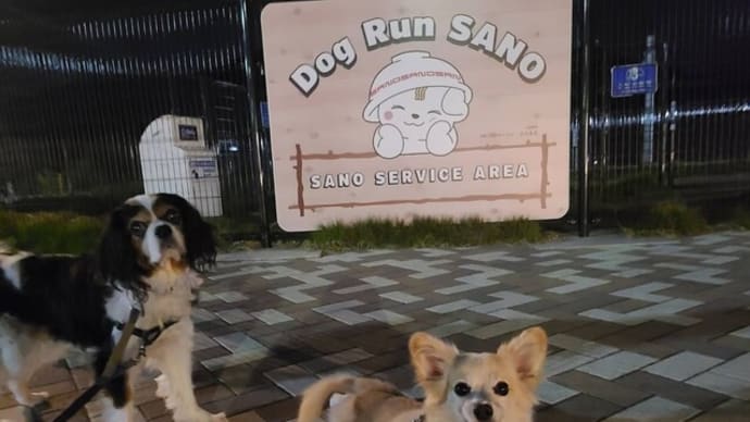 水曜夜発で旅行へ(佐野SA泊)~福島 裏磐梯・会津旅行①