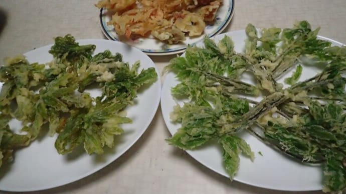 春の山菜料理　再び