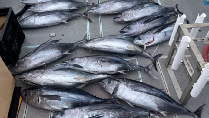 12日・釣果