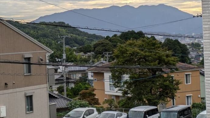 金龍の言葉 ようやく草を引きました