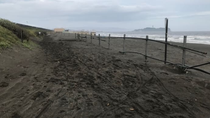 週末30キロ走、今週のこと、