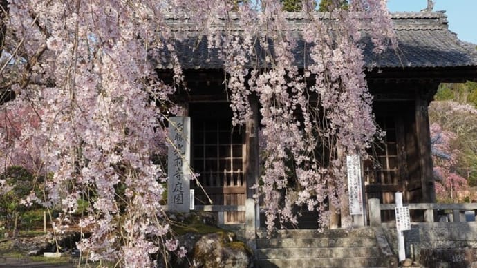 思い出の・・・光前寺