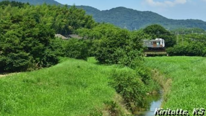 蔵王山と小川