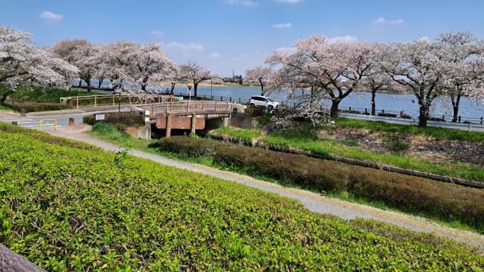 2025.4.12の土曜日 晴れ☀