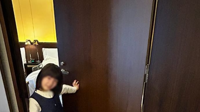 仙台の人気店村上屋餅店の笹しぐれ