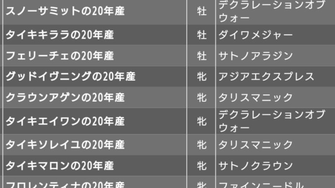 タイキレーシング 20年産募集馬決定