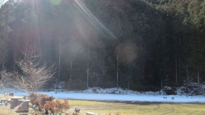 '25.02.09 四日市市から唐見さん来里 懐かしい写真