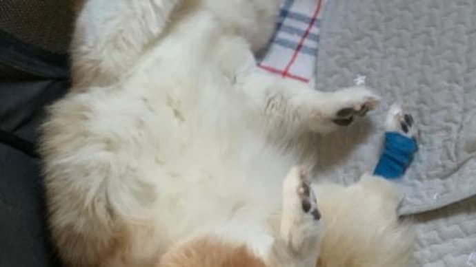 毎日、毎日…
