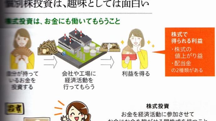 「ほったらかし投資」のほかに、個別株式への投資の是非