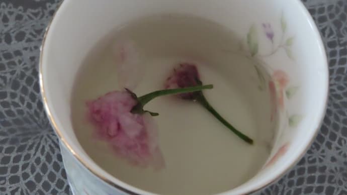桜の花の塩漬け