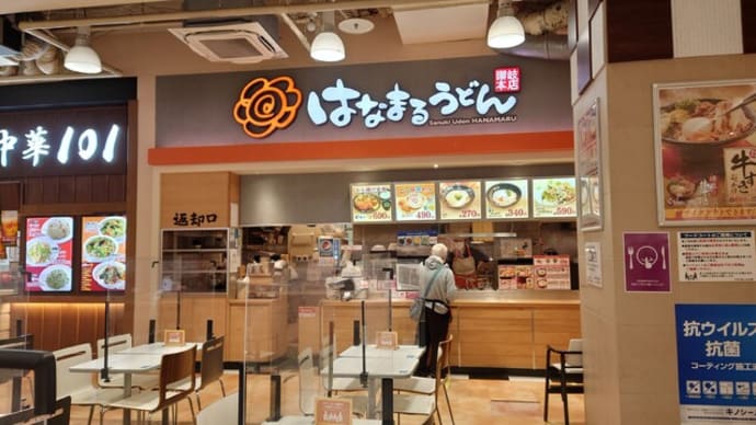 はなまるのカレーとから揚げは結局抜群で、うどんは斜めな楽しみ方もあり、晩は練り物
