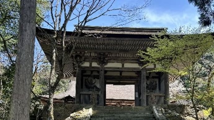 今年の桜 その3 湖東三山