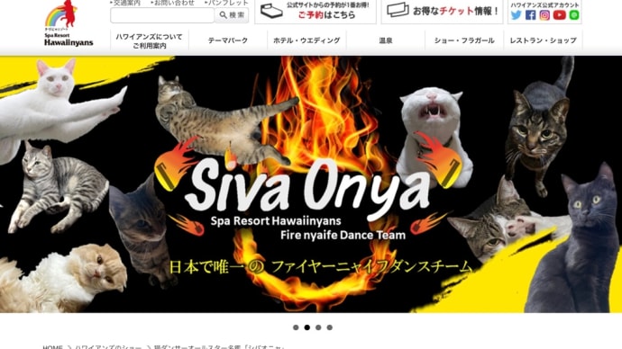 スパリゾートハワイニャンズ!シバオニャ!