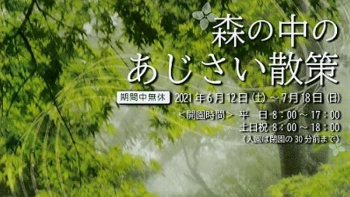 森の中のあじさい散策・・・1