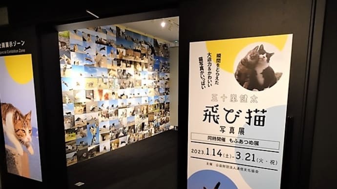 「飛び猫写真展　五十嵐健太」／郵政博物館