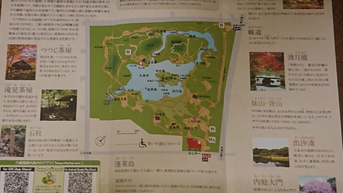 #145 -’25. 六義園を訪問し(その二)