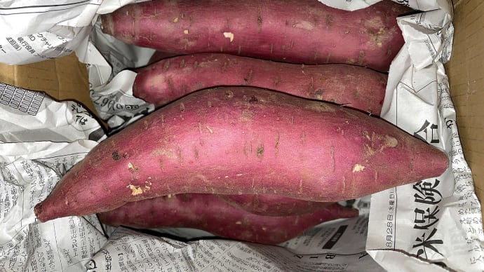 【送料込】紅はるか2kg サイズ色々『砂地』で育った南国高知のさつまいも が当たりました。