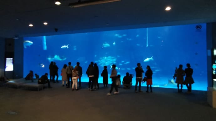水族館紀行1 いおワールド 鹿児島水族館 深海マニア嬉しいかも