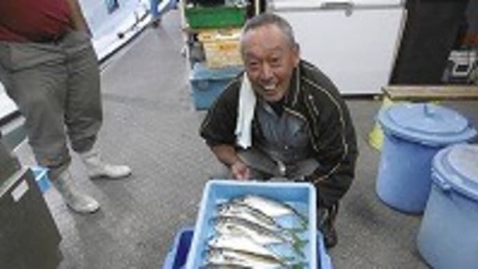 6月12日マアジ狙い釣果