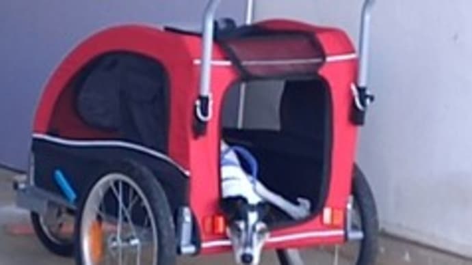 タオの我が家デビュー