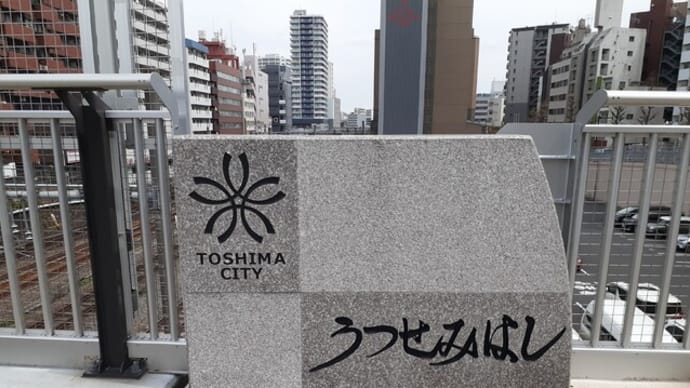 空蝉坂の桜