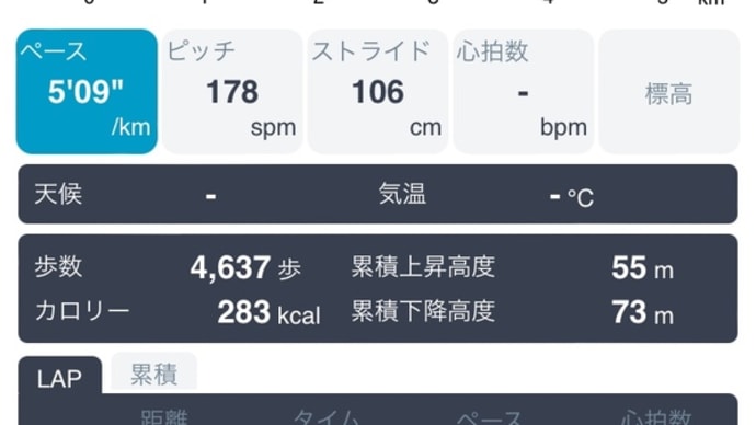 ランニングTT5km 24.11.4