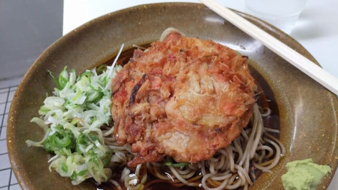 |M2225|立ち食い巡礼:王子駅中央口ガード下『仮称:王子の駅そば』で朝そばをいただく。板場はゴマ塩あたまのお父さんで、冷やし桜エビ天そば(ねぎ多め)は普通においしかった!