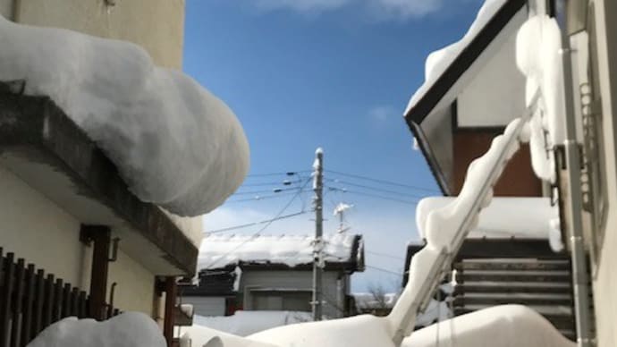青空に騙された😿
