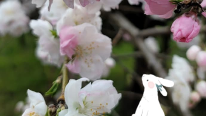 明けましておめでとうございます