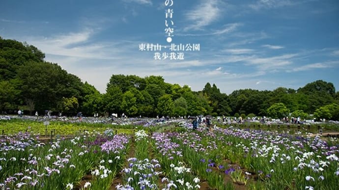 六月の青い空。