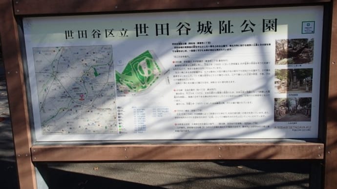 ますみとお出掛けPART3(世田谷城址公園・オオゼキ・ユニクロ・サイゼリヤ)