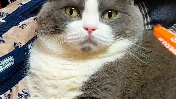あと一日