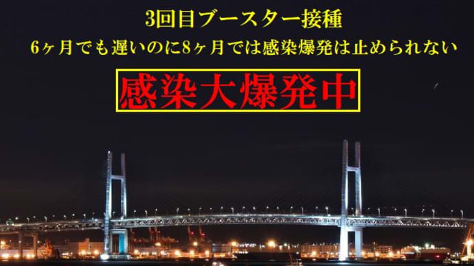 新規感染者高止まり続く