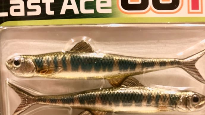 ビックリ‼️
