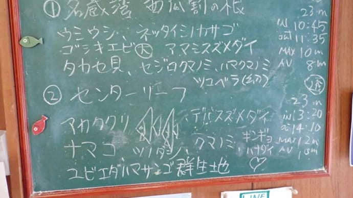 20240903ダイビングログ