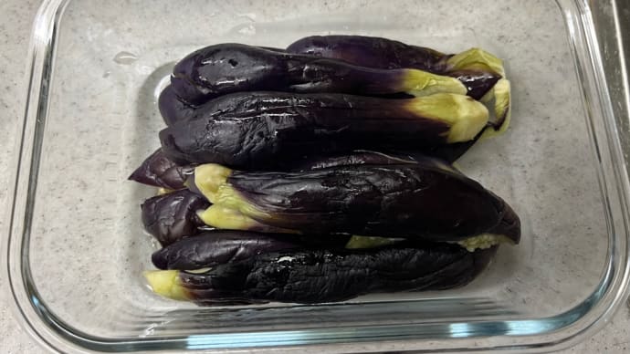 ねぎだく茄子