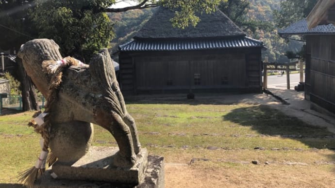 予定無し