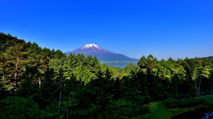 富士山を見に行ってきました　１　（山中湖花の都公園）