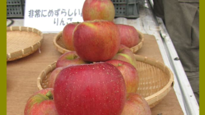 妙高山 紅葉のイモリ池