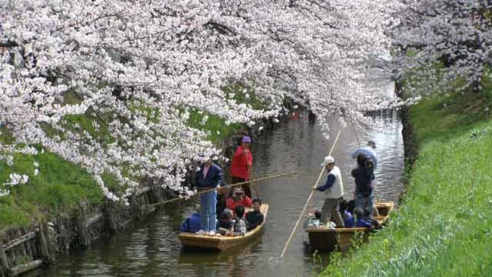 桜と小舟