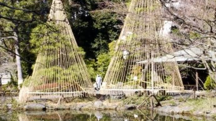 2023年 2月11日(土)の「文京区立肥後細川庭園」と「新宿区立甘泉園公園」