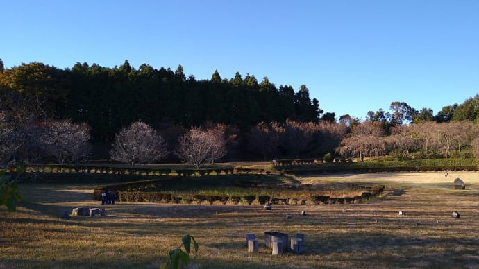 もてぎ里山アートフェスタ2021