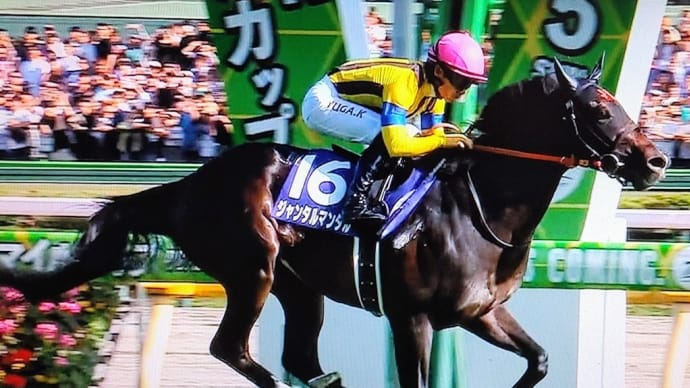 🐴おうまさん(24/5/6) 名古屋グランプリ