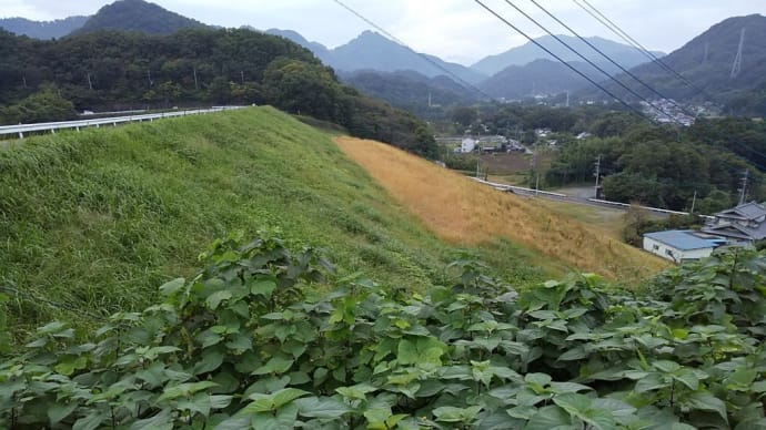 鮎川湖の下見をしてきました