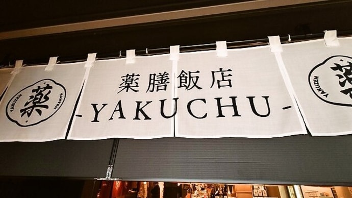 薬膳飯店 YAKUCHU/中華料理/大阪駅