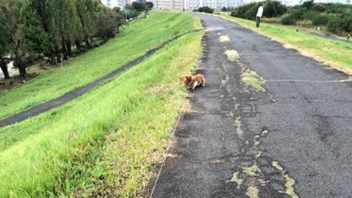 見てる