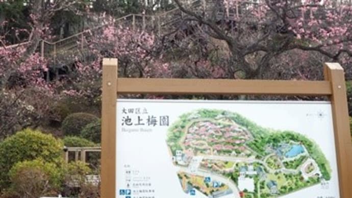 春の香り漂う「池上界隈」へ