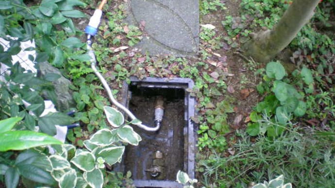 白い管の正体は?